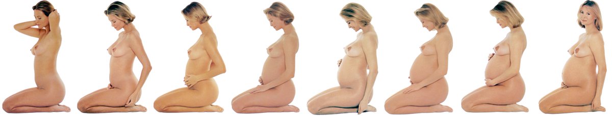 growth_comp's tweet photo. New Pregnancy and Birth Book photo series https://t.co/8ExaJ5oe2V
