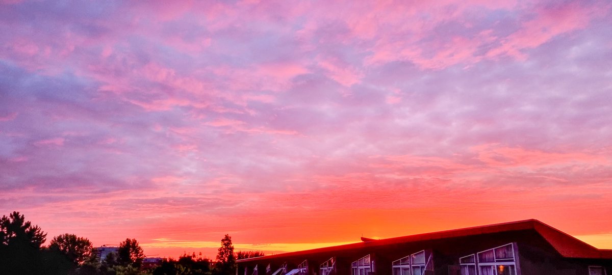 Sandra_Warren's tweet image. Goedemorgen 😎 #homeview #Maassluis