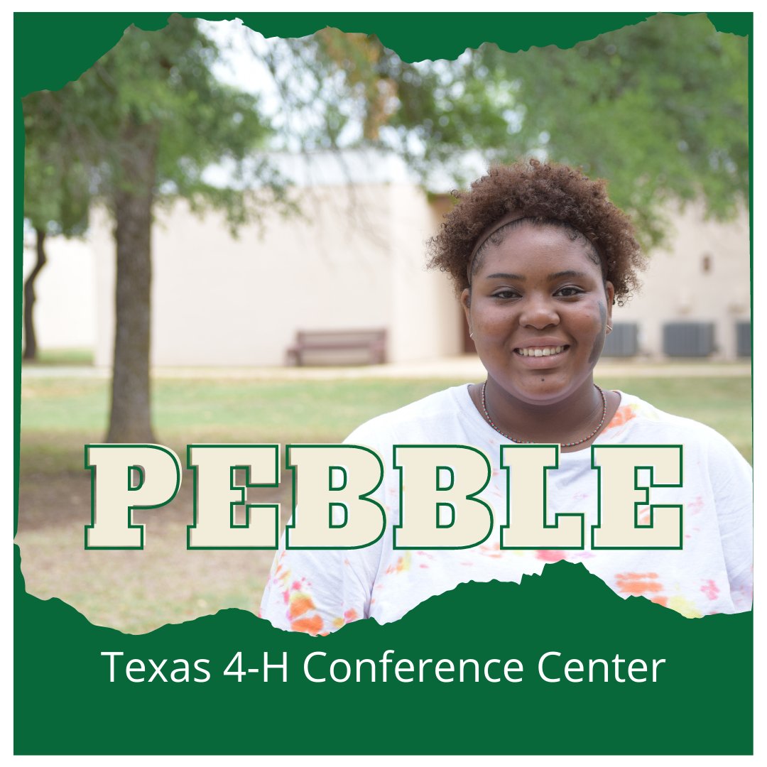 tx4hcenter's tweet photo. Introducing PEBBLE! Pebble is at the center for her first year of camp. Be on the look out in the coming days to see who else will be joining us this summer! https://t.co/rWAg7YaOLo