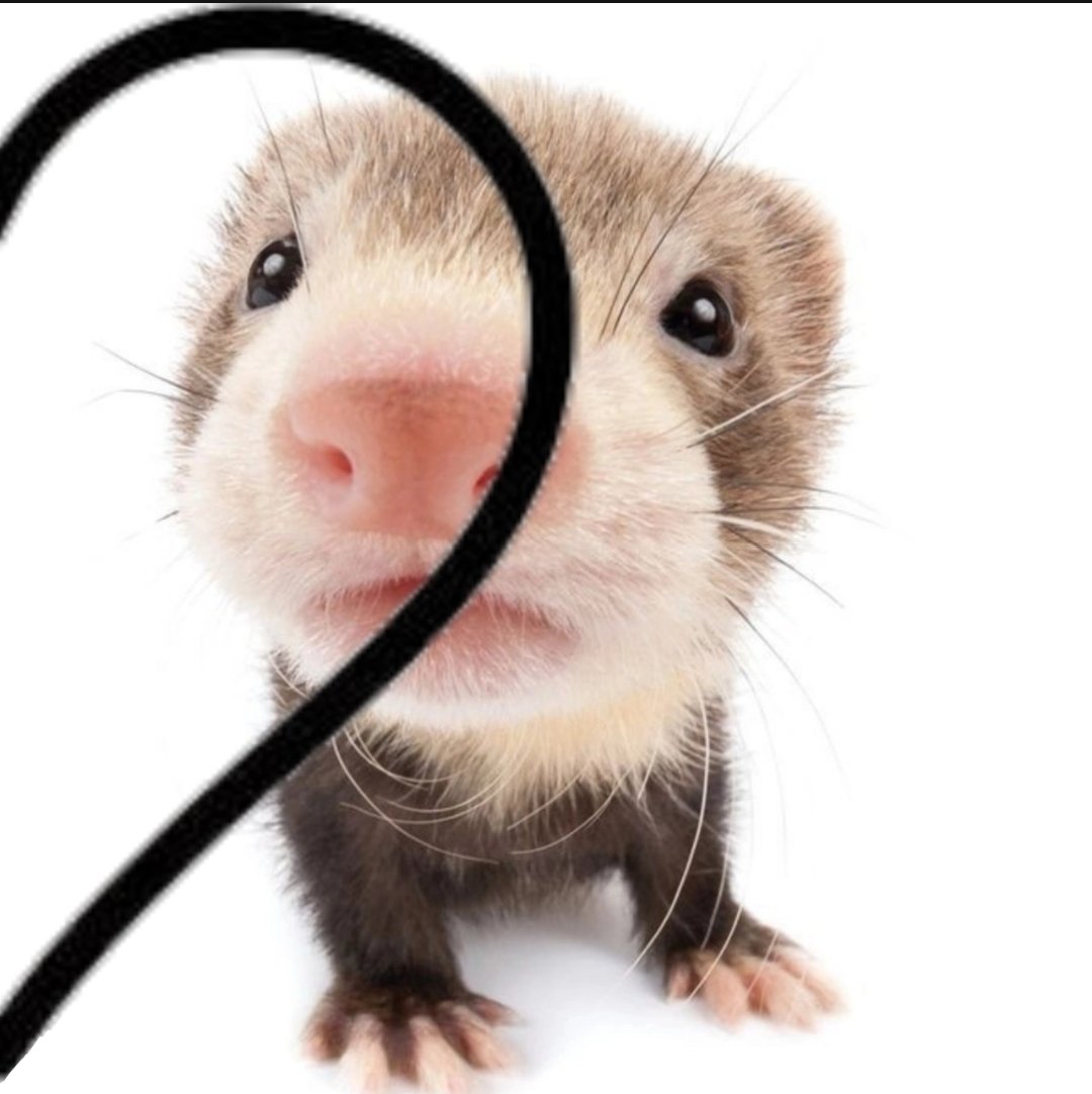 letravdeviado's tweet image. 