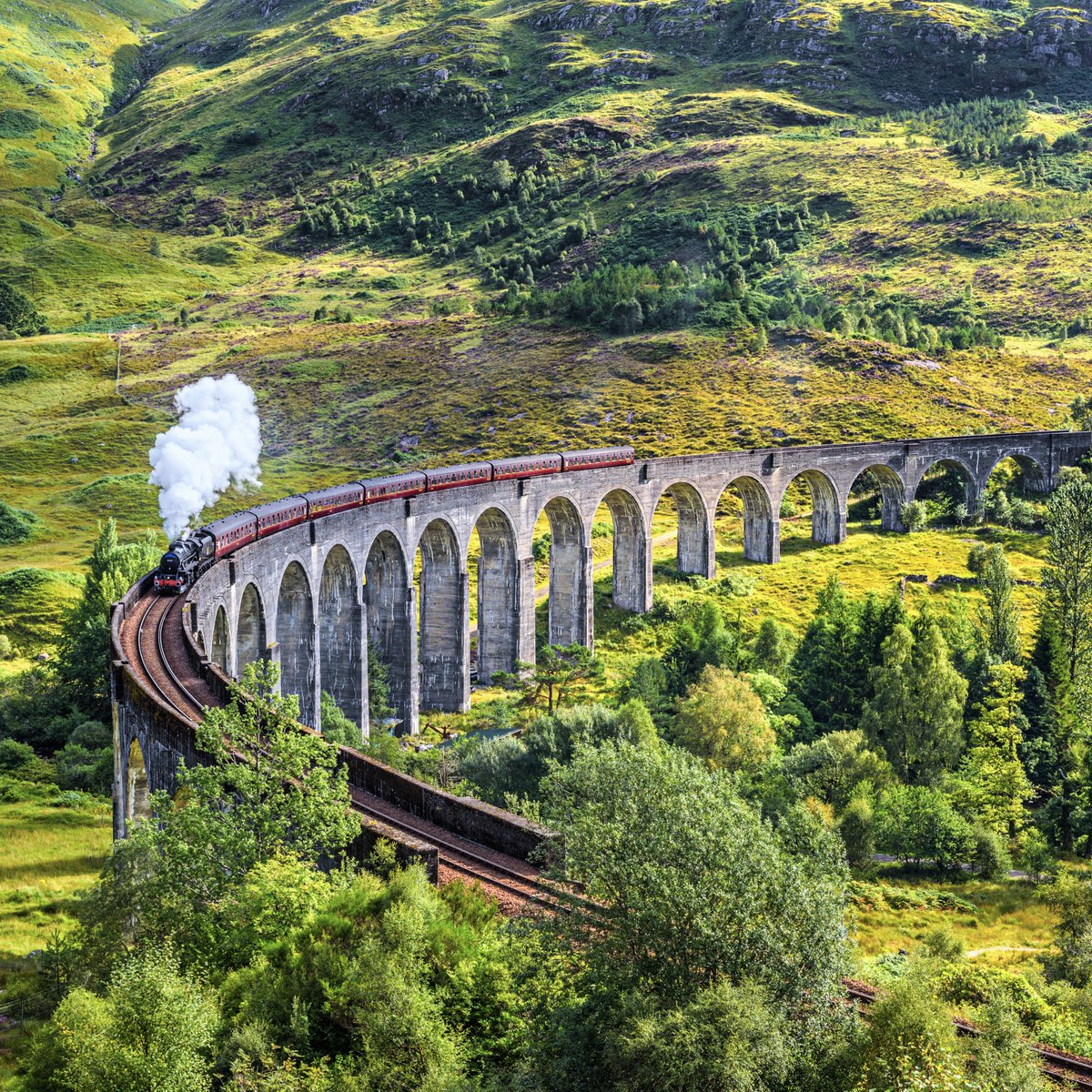burnscrystal_'s tweet photo. Will you be getting on the Jacobite Steam Train 🏴󠁧󠁢󠁳󠁣󠁴󠁿 or the Hogwarts Express? 🚂 ✨

🛒 https://t.co/VFslT8MRZt

📸 Glenfinnan Viaduct 

#burnscrystal #scottishgifts #thingstodoscotland #glenfinnanviaduct https://t.co/liGIeYwALw