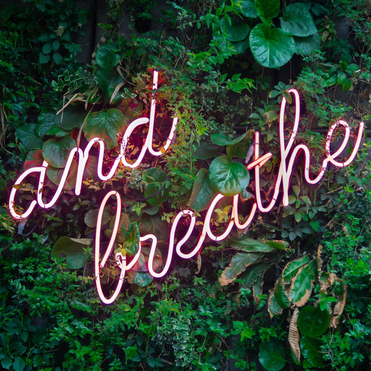 storageplus_'s tweet image. Relax knowing your experience will be easy and your storage safe with us. With the highest level of security featuring personalised access control and 24/7 CCTV and alarm systems. As well as easy storage choices and affordable prices. #storageplus