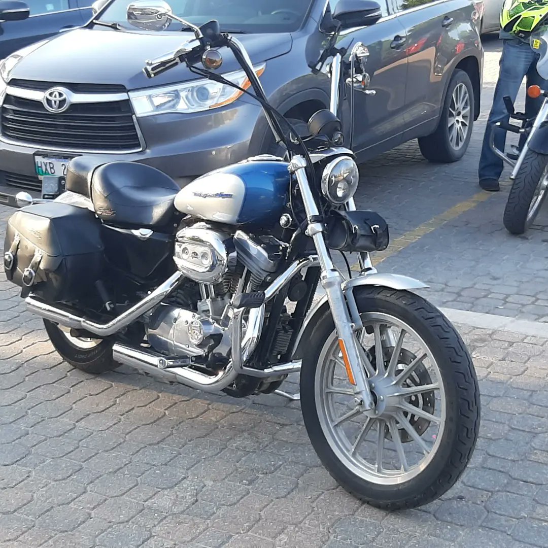 LegionOfBombers's tweet photo. Miley Got Upgraded Today Gorilla Style 🦍🦍🏍🏍🤑🤑... Put Some 14" #BurleyBrand #ApeHangers &amp; #BurleyCables #MileyRayDavidson #ManitobaByMotorcycle #ManitobaMotorcycles #HarleyDavidsonMotorcycles #HarleyDavidsonSportsterXL883C #HarleyDavidsonWinnipeg #HarleyDavidson https://t.co/u0T7UHUfBX