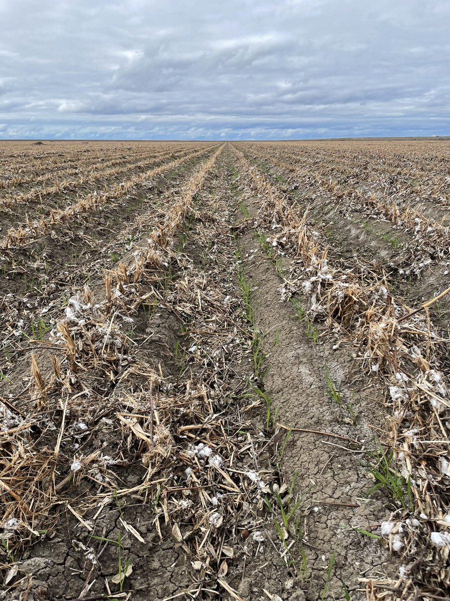 Liam Whitbourne tweet media