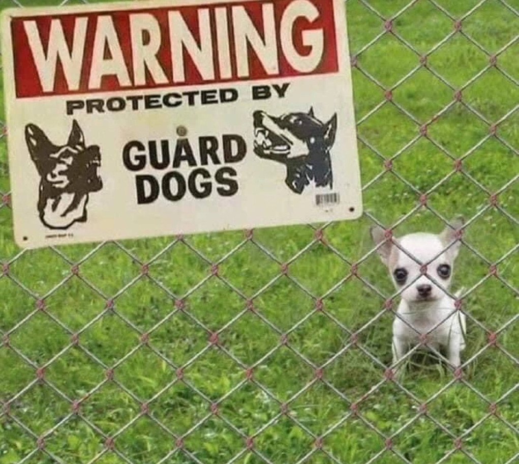 ViLilyBooks's tweet photo. Vewy scawy! 🤣 Guard your ankles. #funny #memes #memes😂 #funnymemes #fyp https://t.co/J66XJ6WHNd