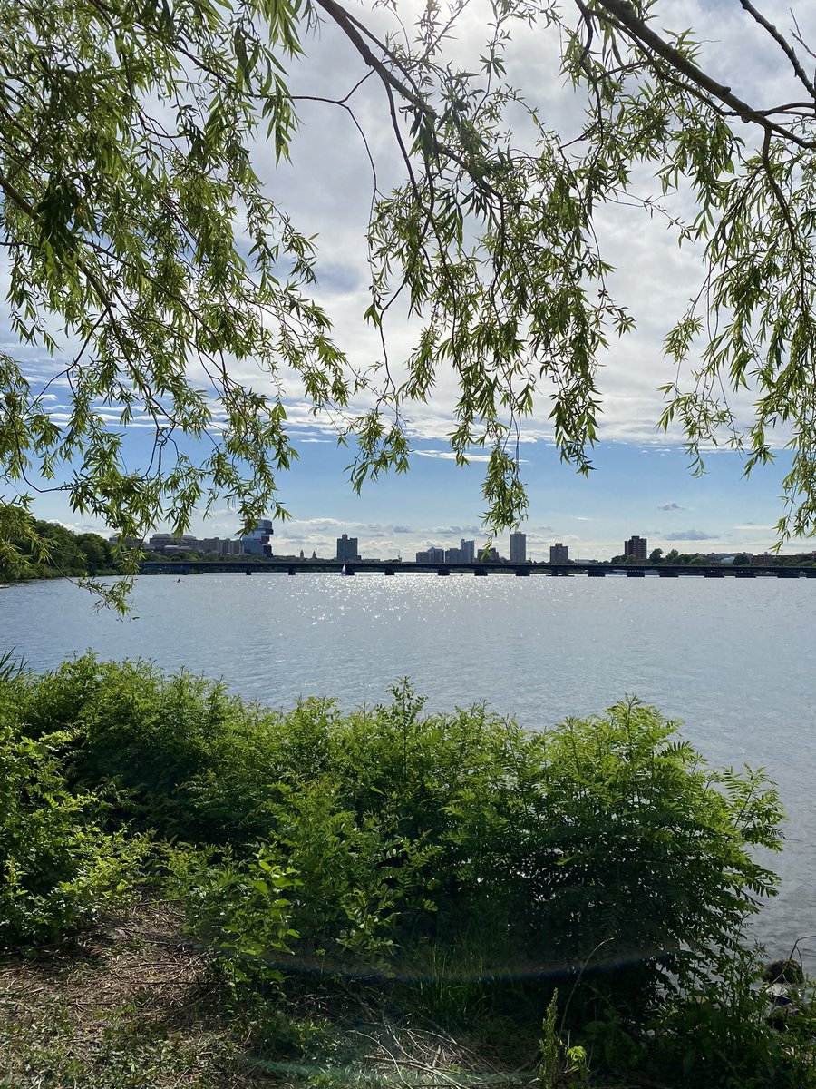 debika_mitra's tweet image. Great turnout at Vascular Live for Dr. Rinehardt’s presentation on #Perclose tips and techniques and excellent engagement at the Abbott booth at the Vascular Annual Meeting in Boston. Until next time, Boston! #VAM2022 #Abbottproud