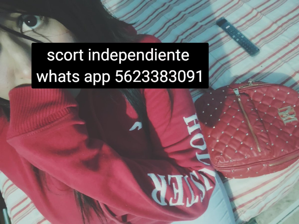 Iris Scort San Luis potosi tweet media