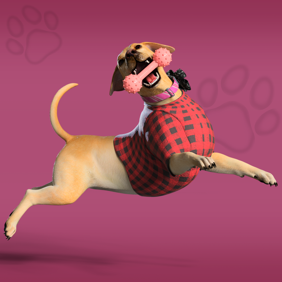 NFungiblePeople's tweet photo. Who has gotten their #NFPETS already? Comment below ‡οΈ
Mint your pet here https://t.co/LdSaHjcfZW: https://t.co/Dgzmb9bJRO