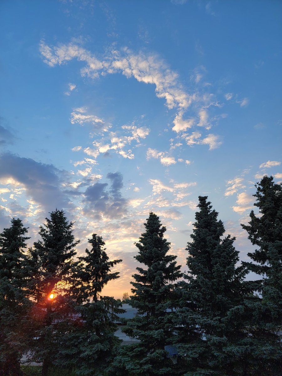 _alaskasunshine's tweet photo. The view might not be as classically Alaskan in Anchorage as it was in Whittier, but the summer sunset was still gorgeous and worth sharing.
#ILoveAlaska #AlaskaSunset
#Anchorage https://t.co/KYjDOzlQMh
