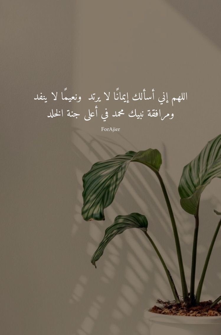 12Bander1's tweet photo. اللهم أجعلنا من أعظم خلقك نصيباً في كلّ خيرٍ
تقسمه، وفي كلّ نورٍ تنشره، وفي كلّ رزقٍ تبسطه،
وفي كلّ ضُرٍ تكشفه، وفي كلّ بلاءٍ ترفعه يارب🤍.
اللهم صلَ وسلم على سيدنا محمد🤍.
#يوم_الجمعه https://t.co/iOwK9KkJtH