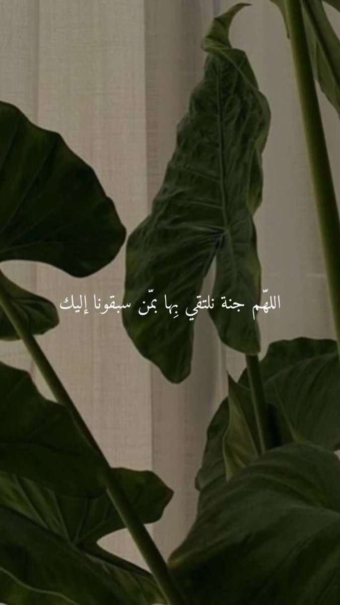 12Bander1's tweet photo. اللهم أجعلنا من أعظم خلقك نصيباً في كلّ خيرٍ
تقسمه، وفي كلّ نورٍ تنشره، وفي كلّ رزقٍ تبسطه،
وفي كلّ ضُرٍ تكشفه، وفي كلّ بلاءٍ ترفعه يارب🤍.
اللهم صلَ وسلم على سيدنا محمد🤍.
#يوم_الجمعه https://t.co/iOwK9KkJtH