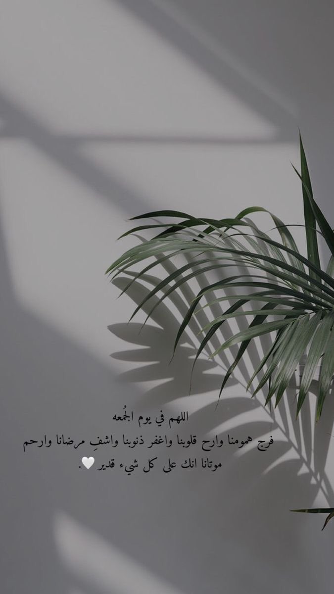 12Bander1's tweet photo. اللهم أجعلنا من أعظم خلقك نصيباً في كلّ خيرٍ
تقسمه، وفي كلّ نورٍ تنشره، وفي كلّ رزقٍ تبسطه،
وفي كلّ ضُرٍ تكشفه، وفي كلّ بلاءٍ ترفعه يارب🤍.
اللهم صلَ وسلم على سيدنا محمد🤍.
#يوم_الجمعه https://t.co/iOwK9KkJtH