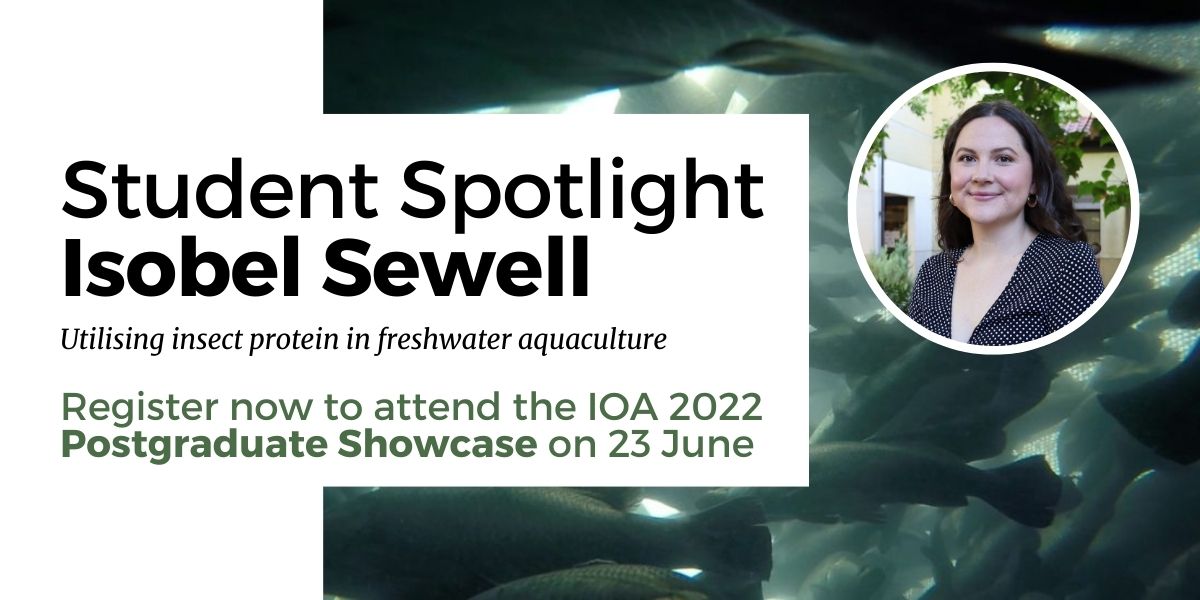 IOA_UWA's tweet photo. Meet @IsobelSewell from @uwaoceans! Isobel is one of 7 outstanding @UWAresearch PhDs presenting at our 2022 Postgraduate Showcase on23 June. Register https://t.co/9v1dMQeSAa to learn about her research achievements in "Utilising insect protein in freshwater aquaculture" 🐟 🦞 https://t.co/utpZaWe5ot