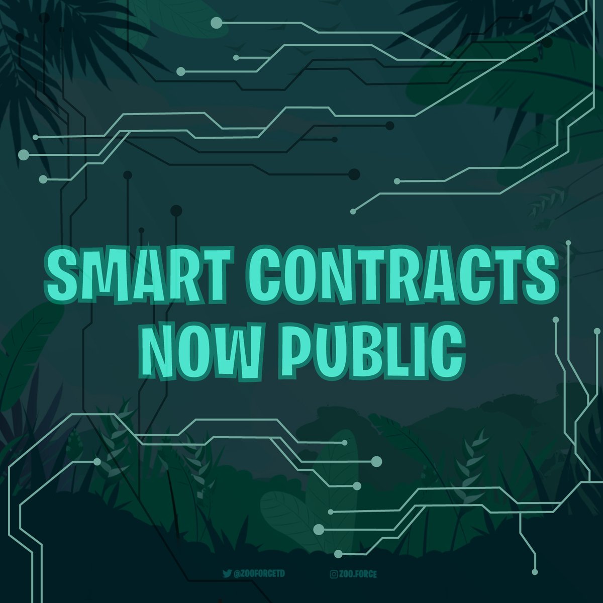 Zoo Force tweet media