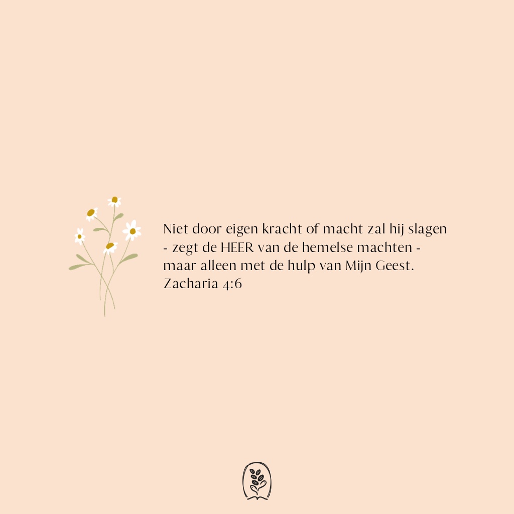 Niet door eigen kracht of macht zal hij slagen - zegt de HEER van de hemelse machten - maar alleen met hulp van mijn geest. Zacharia 4:6