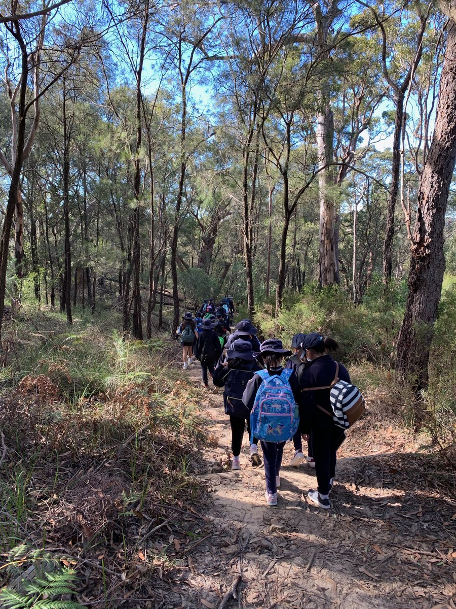 Stage 2 have been investigating changes to the earth’s surface over time. They visited Gibberagong Environmental Education Centre where they were able to see some of these changes and discover reasons for them.