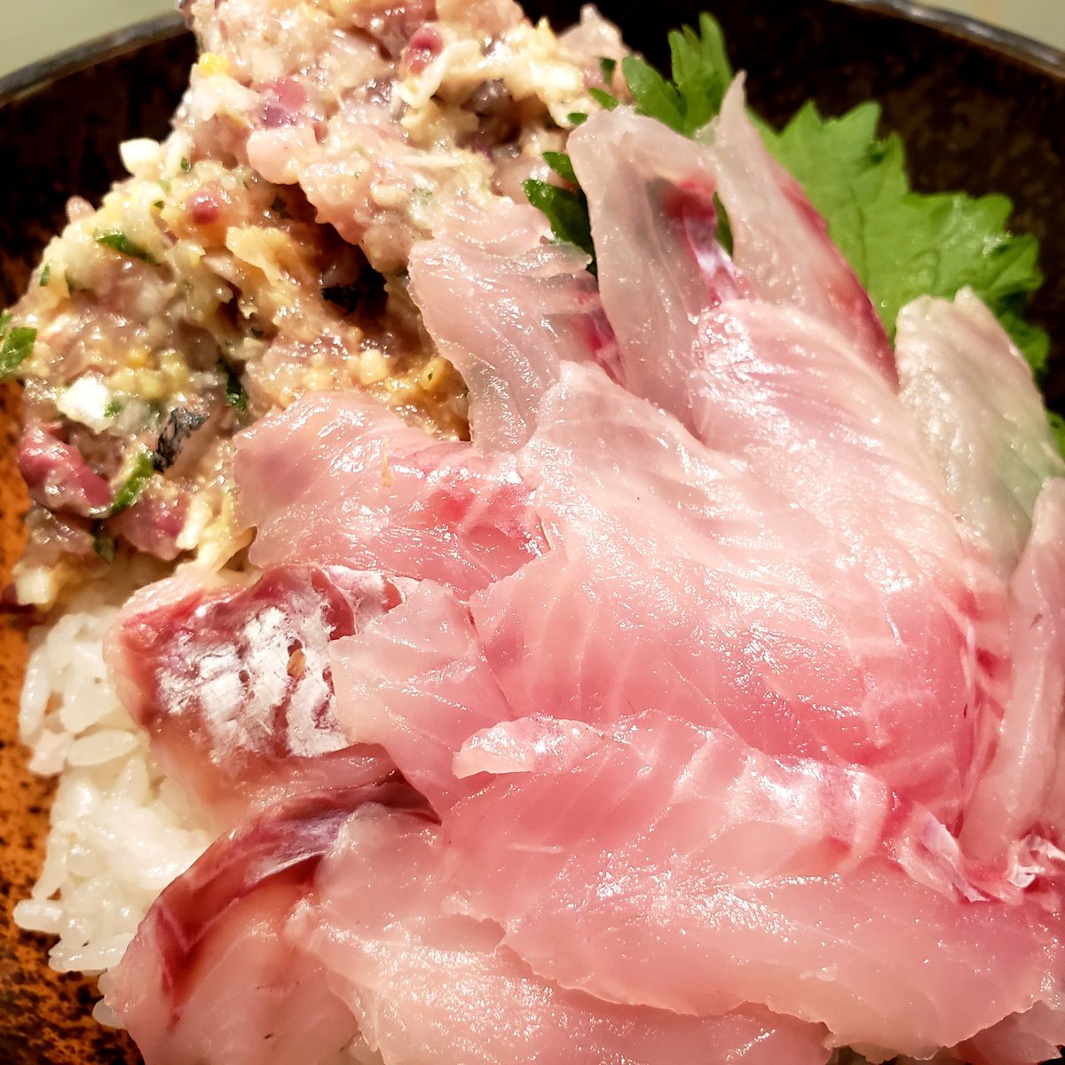 CookingPandaXX's tweet photo. アジのなめろうを作りました🐟
手前はウスメバル💕
脂ノリノリうまうまでした🎶
何でもかんでも丼でいくスタイル🐼 https://t.co/Wimy7DRQw7