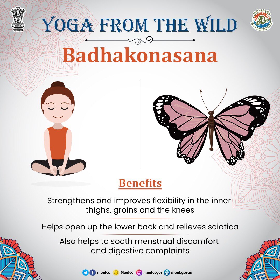 बद्ध कोणासन करने का तरीका और फायदे – Baddha Konasana (Bound Angle Pose)  steps and benefits in Hindi