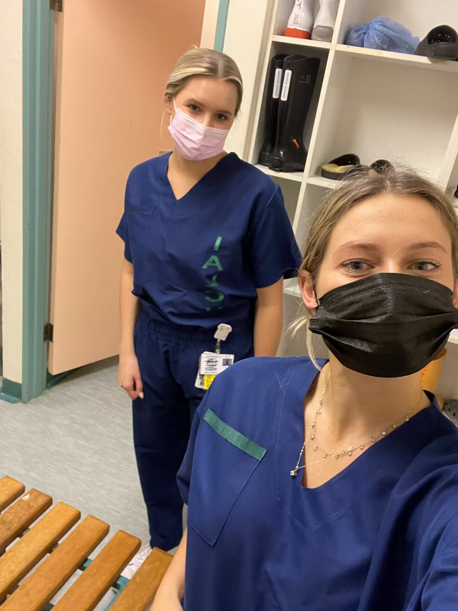 EmGEvangelista's tweet photo. Weekday &amp; weekend views with UKZN ENT 👩🏼‍⚕️➡️🐘 https://t.co/YbazK2E5N9