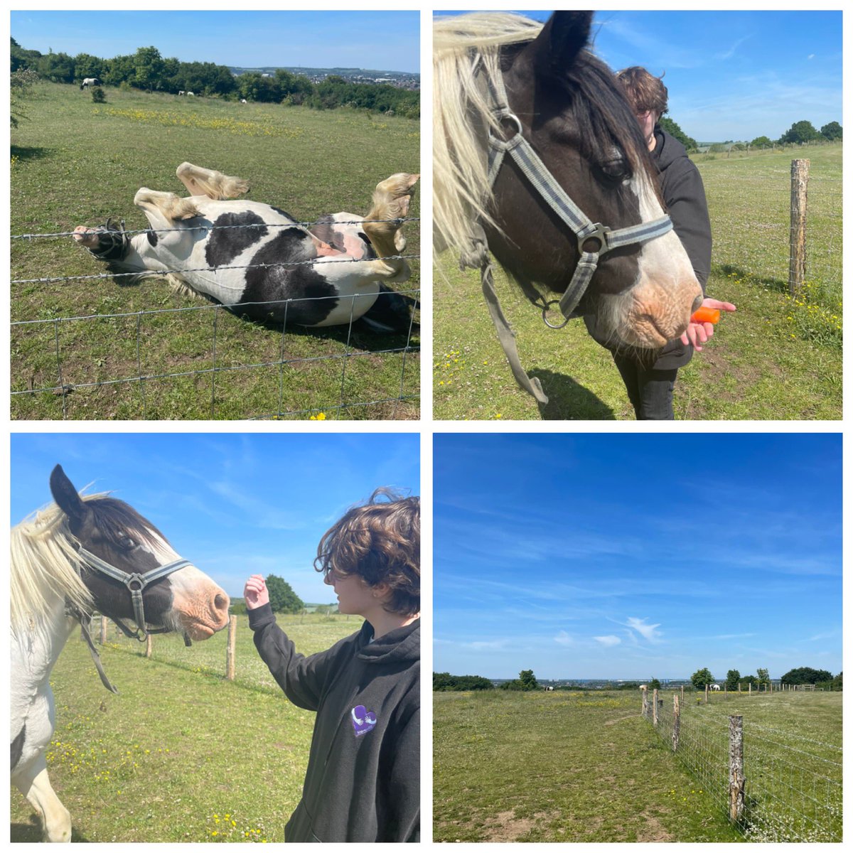 Embracecic's tweet image. Spending time with animals can reduce feelings of stress and anxiety.  While enhancing social skills 🐴☀️🌳 #animalcare #emotionalwellbeing #embracecic 💜