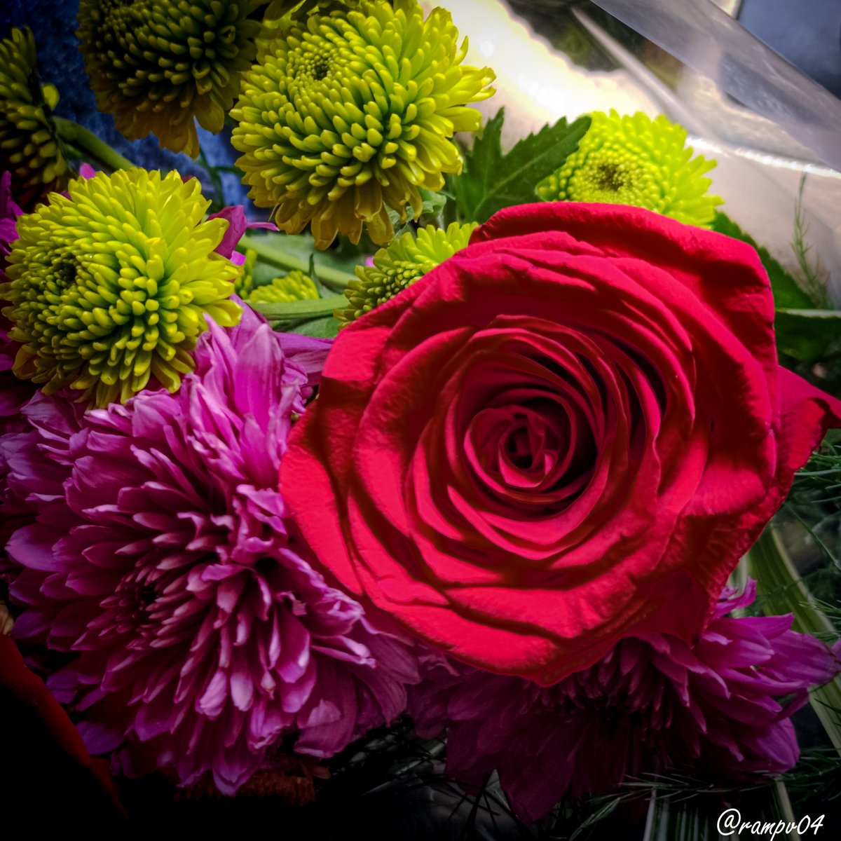 rampv04's tweet image. @rampv.04 #photographer #photodesigner