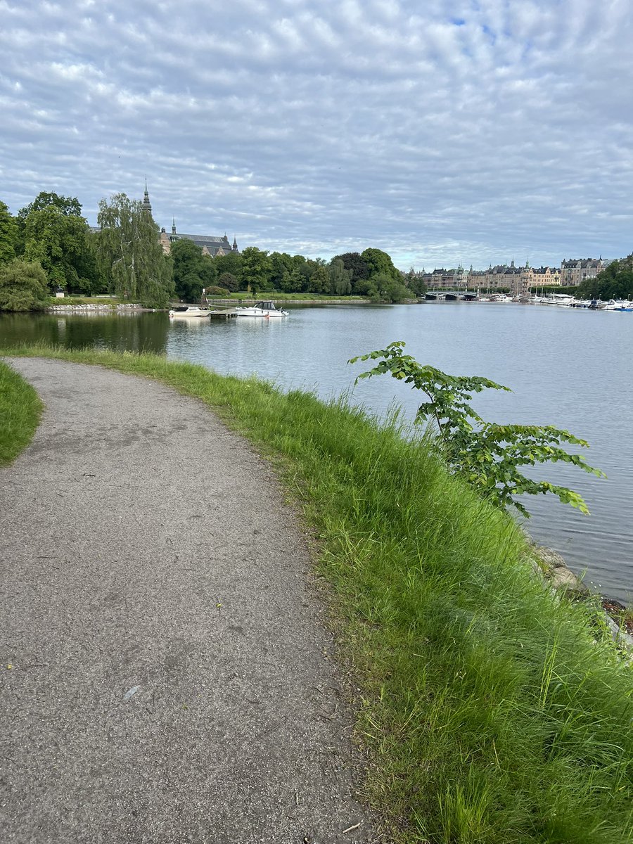 hansvestberg's tweet photo. Nice morning in a beautiful Stockholm. Ready for a long and productive day @brilliantmindssthlm. #runwithhans https://t.co/PN5pEfuxIh