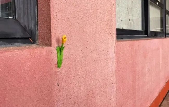 Luo Shengtian, a student at Guangzhou Academy of Fine Arts in Guangdong China, has installed felt flowers to cover the broken corners and shabby walls in the suburbs near his school. We can all make our city cuter and warmer！
#China #Feltflowers #Art #City
