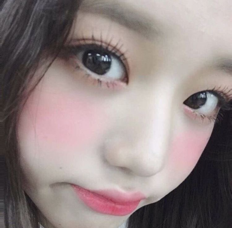 wonyoung as cats tweet media