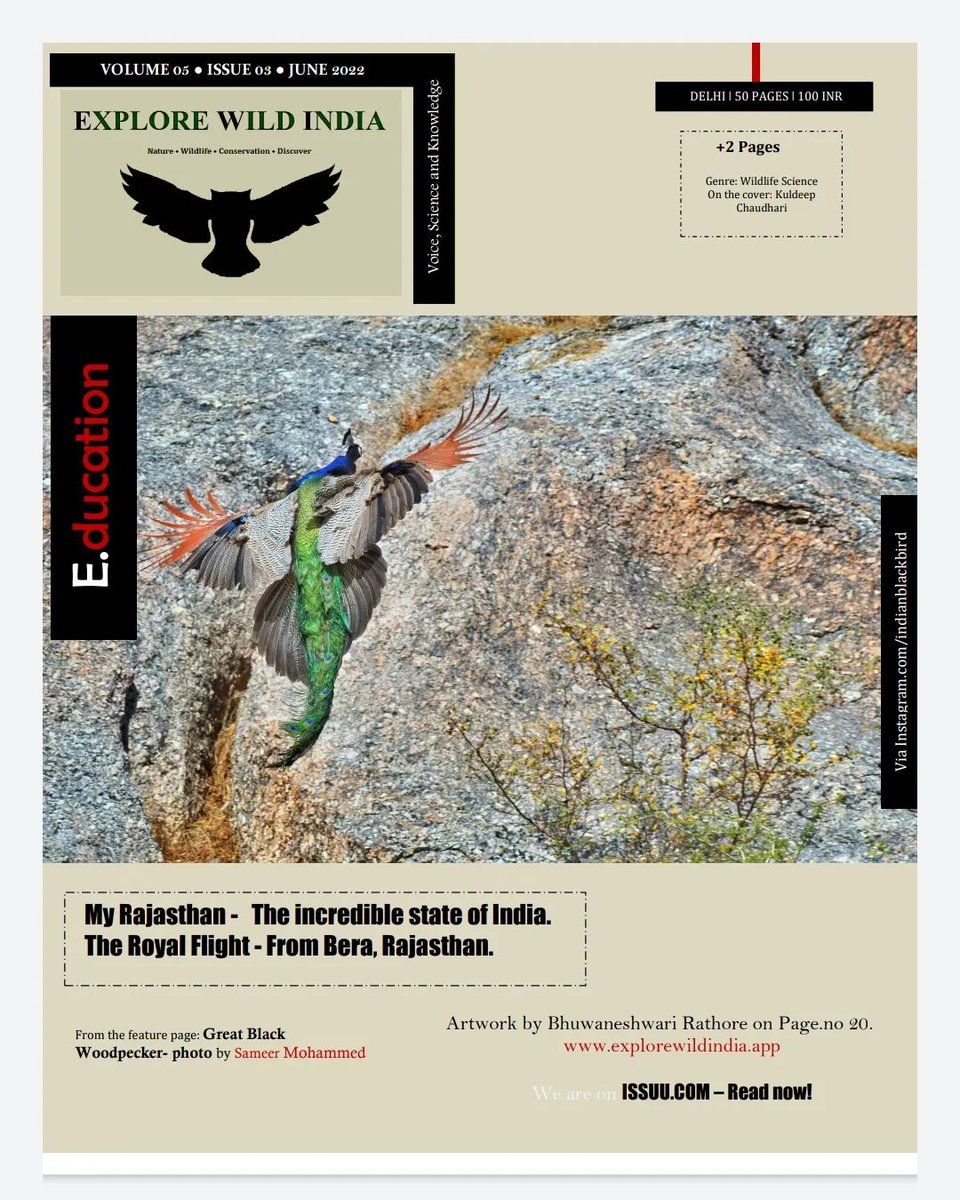 Checkout our latest #edition (June 2022) #wildlifeindia
👇
issuu.com/wildlifeofindi…

On the cover -  Kuldeep Chaudhari &amp; from the feature page - Mohammed sameer &amp; Artwork by Bhuwaneshwari Rathore (Jaipur).

#explorewildindiamagazine #magazine #photo #wildlife #Rajasthan