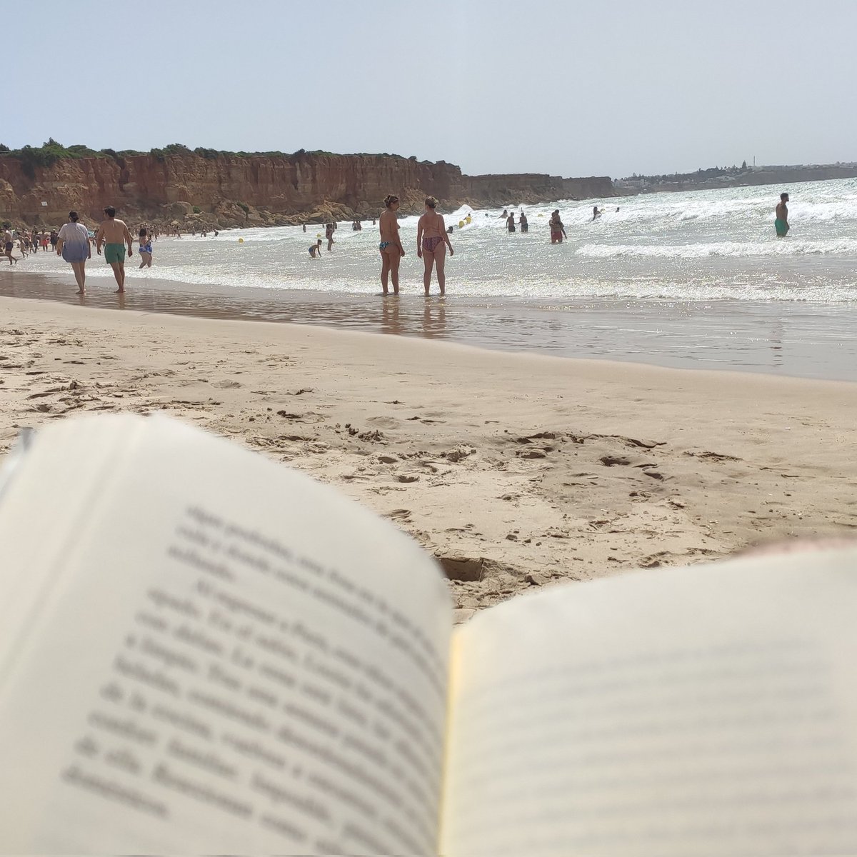 davidk007's tweet photo. Queda inaugurado el certamen fotográfico #BestPlacesToRead de 2022.
¡Ah! Se vale promocionar la propia #biblioteca.
(Otro #bibliomeme / #memebibliotecario de la serie #librariansummer ) https://t.co/aLdBUWNrWd