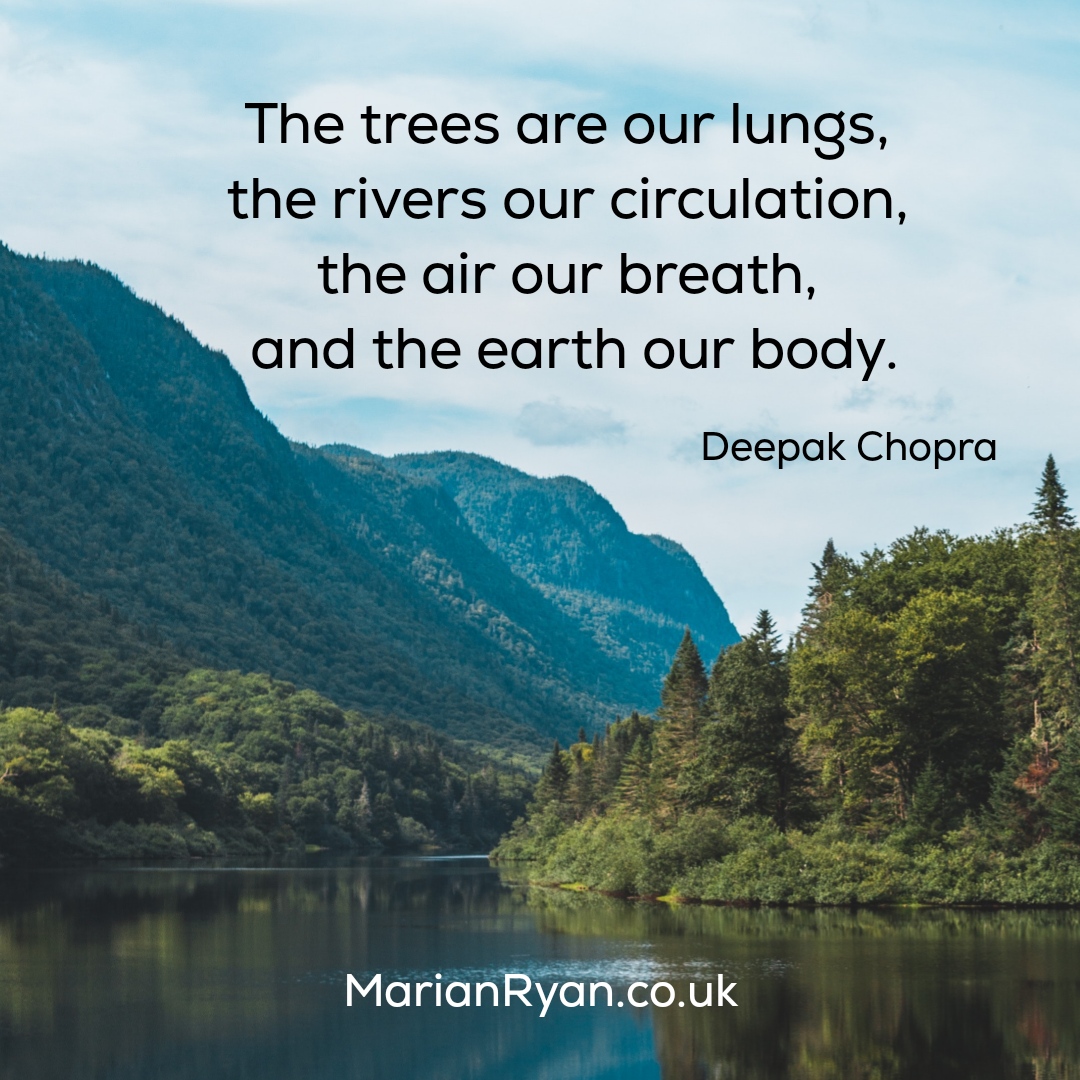 holisticenergy_'s tweet photo. Nature nurtures and nourishes us. Exposure to nature not only makes us feel better emotionally, but also contributes to our physical health and wellbeing; alleviates stress, and reduces blood pressure, heart rate, muscle tension, and the production of stress hormones. https://t.co/gEw9T7eJvK