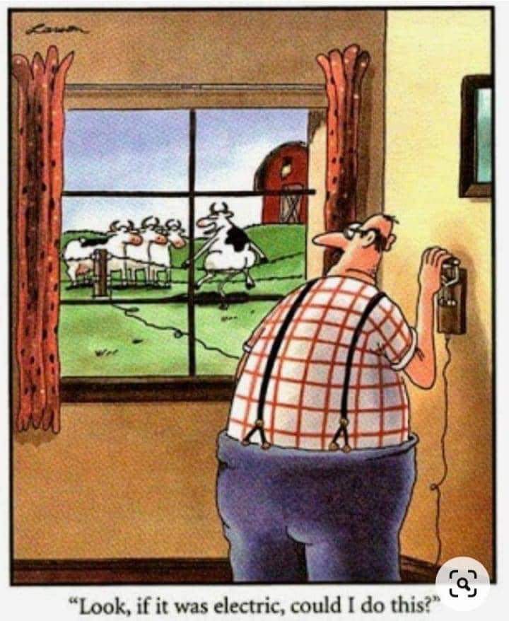 lost tweet media