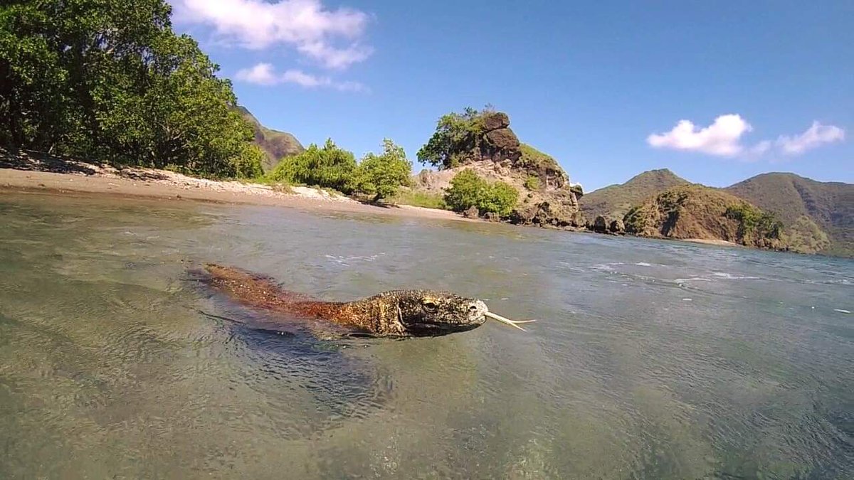 Gabriel Oja tweet media