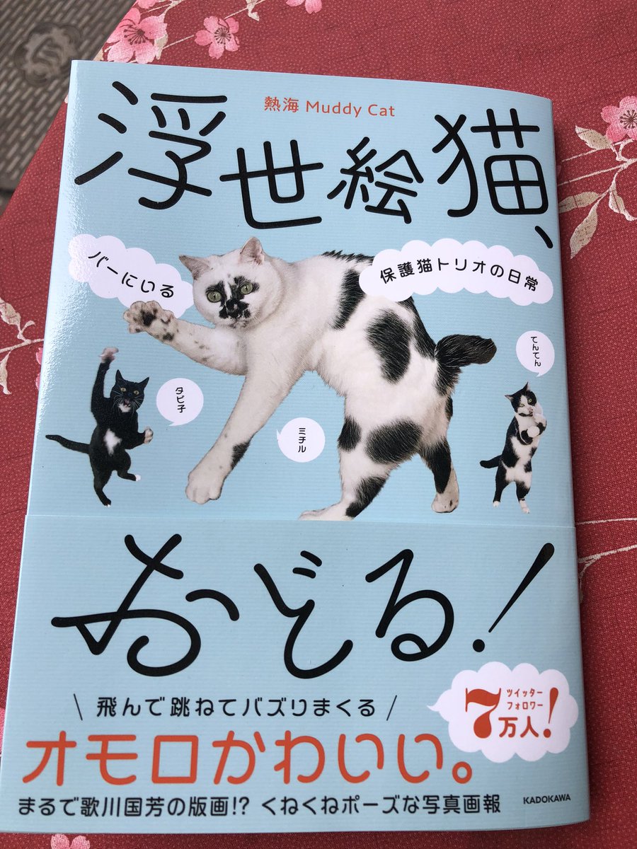 「熱海の猫に会えるかもしれないバー」マディキャットさんが発売した本
#NPOくすのき からお嫁に行ったタビ子も沢山載ってます❣️
<a href="/muddycat_atami/">熱海 Muddy Cat</a> 

#猫好きさんと繋がりたい 
#拡散希望 #里親募集 ＃保護猫 
#譲渡会 ＃熱海 ＃猫カフェ 
#Templecat