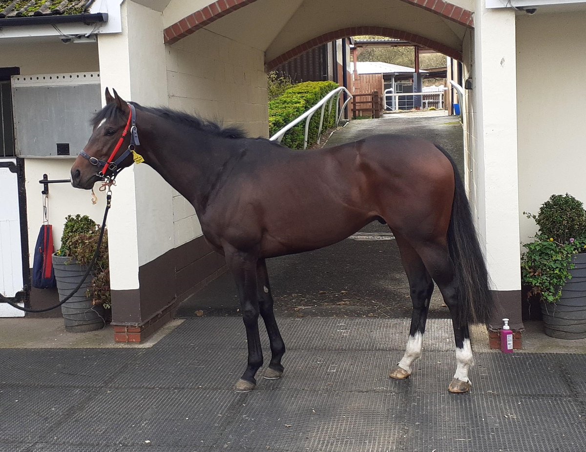 Grange Park Racing tweet media