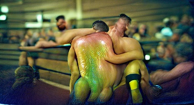 GayAI_'s tweet photo. #GayAI Oiled wrestlers https://t.co/SURuQENhY8