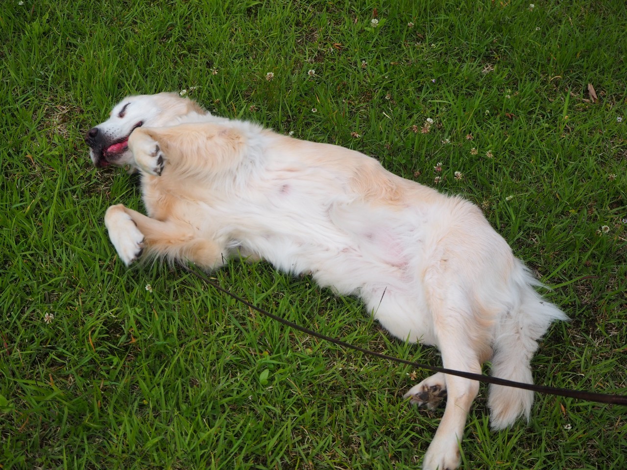 See Tutti Yuta S Tweet Twitter