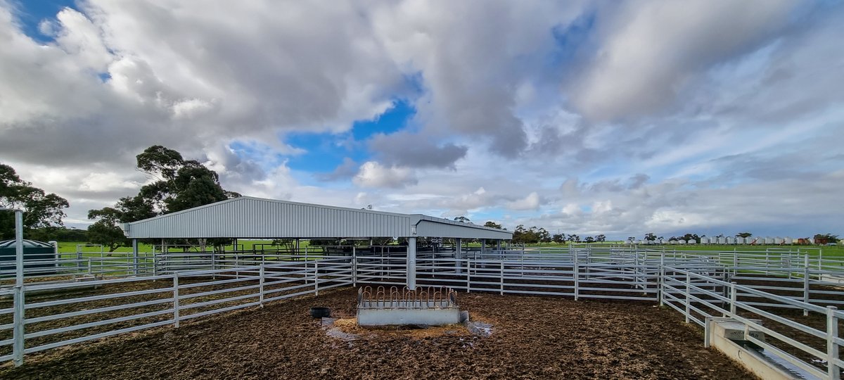 ActionSteel's tweet image. Yard covers prove to be a worthwhile investment at this time of the year!🌧

A 32m x 21m x 3.6m cattle yard cover over @ProWay2000 yards.

📍Culburra SA

#ActionSteel #BigSheds #ProWayAUS #cattle #cattleyards #livestock #yardcover
