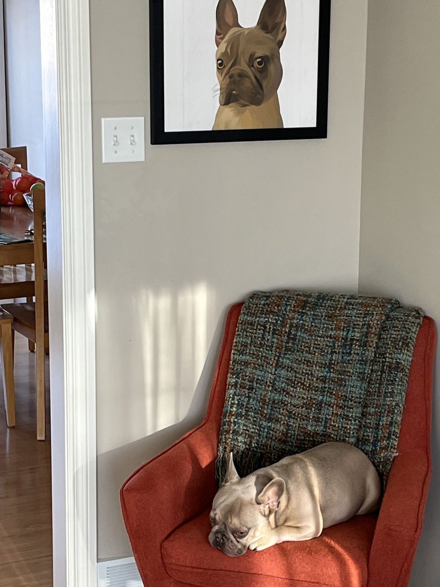 donutail's tweet photo. Enjoy your birthday gift. 

#donutailwithpet #petportrait #petphotography #frenchbulldog #frenchie #frenchiesofinstagram #bulldog #frenchielove #bulldogsofinstagram #frenchiepuppy #frenchbulldogsofinstagram #englishbulldog #frenchielife #bulldogfrances #frenchiegram https://t.co/iIriGmtakq