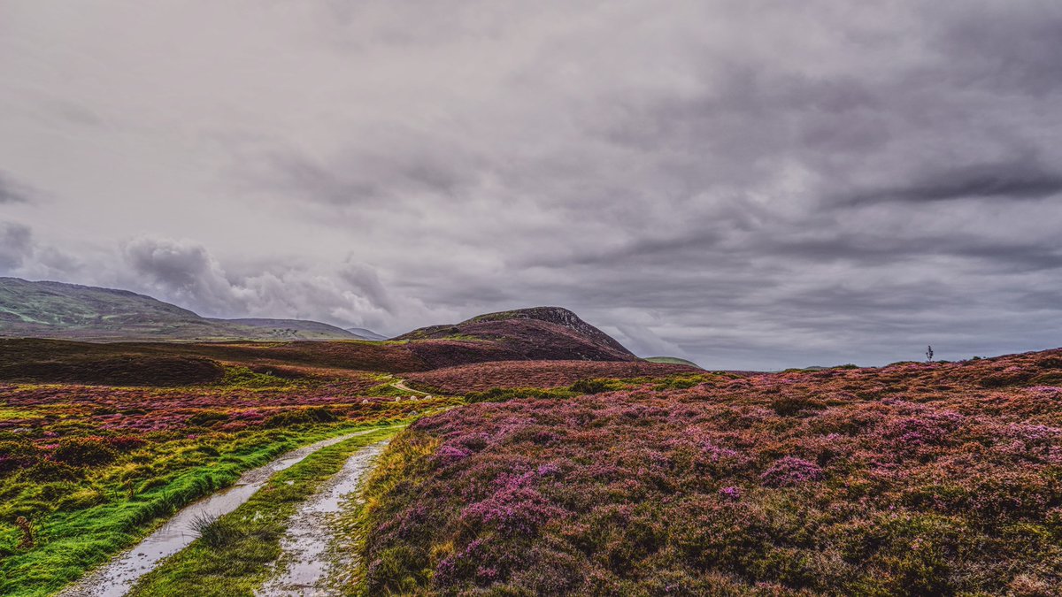 Penmaenmawr Museum tweet media