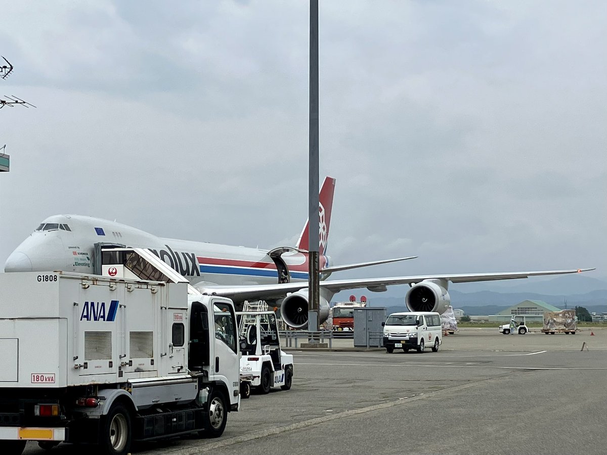 yossyB6's tweet photo. KMQで

久しぶりに目の前で４発機見た

やっぱりデッカイなぁ

飛ぶとこ見たいのに搭乗時刻が迫ってて
保安検査通過

しばらくしてtaxiしてるのに気づいて
ゲートから二重のガラス越しに必死📸

タイミングは合ったけど
やっぱボケボケだった

でもでっかいヒコーキかっこいい

#cargolux
#lxvcb
#kmq https://t.co/oFW1uuX89u