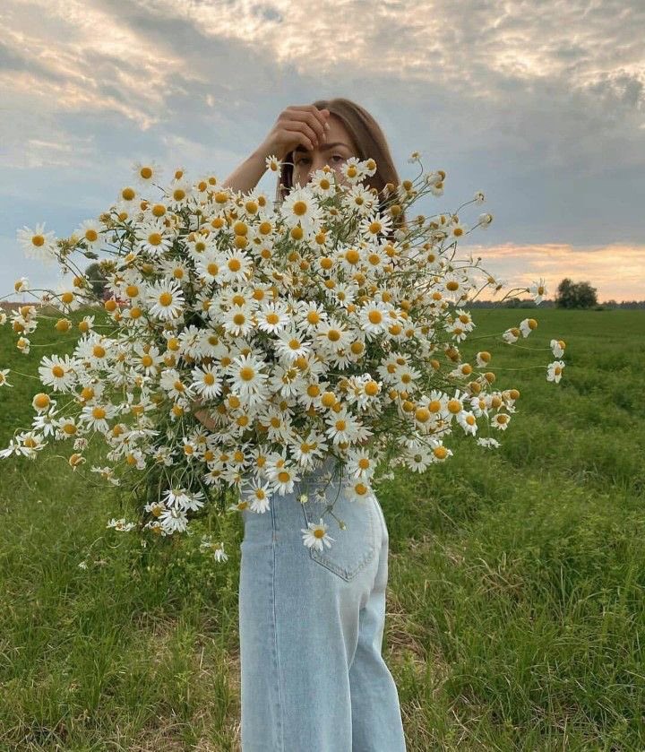 malusokay's tweet photo. Daisies will always hold a special place in my heart 🤍 https://t.co/H3qmnZQ3TH