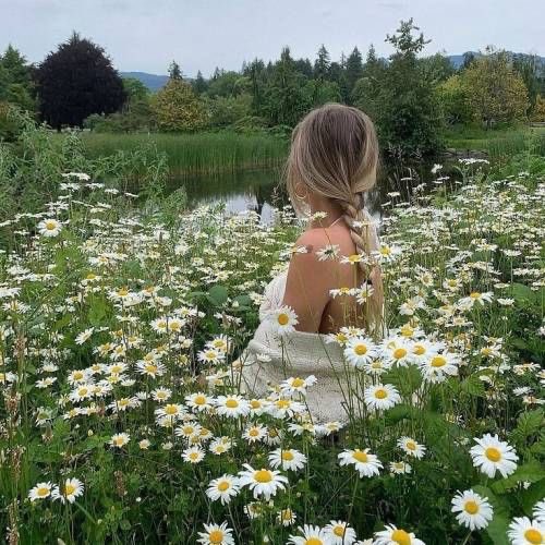 malusokay's tweet photo. Daisies will always hold a special place in my heart 🤍 https://t.co/H3qmnZQ3TH