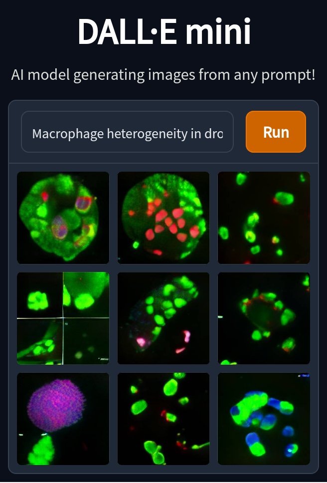 Elliot Brooks tweet media