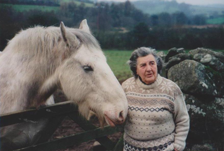 Shallowford Farm tweet media