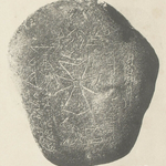 【解明‼】黒死病の600年以上の謎をDNA分析で起源特定