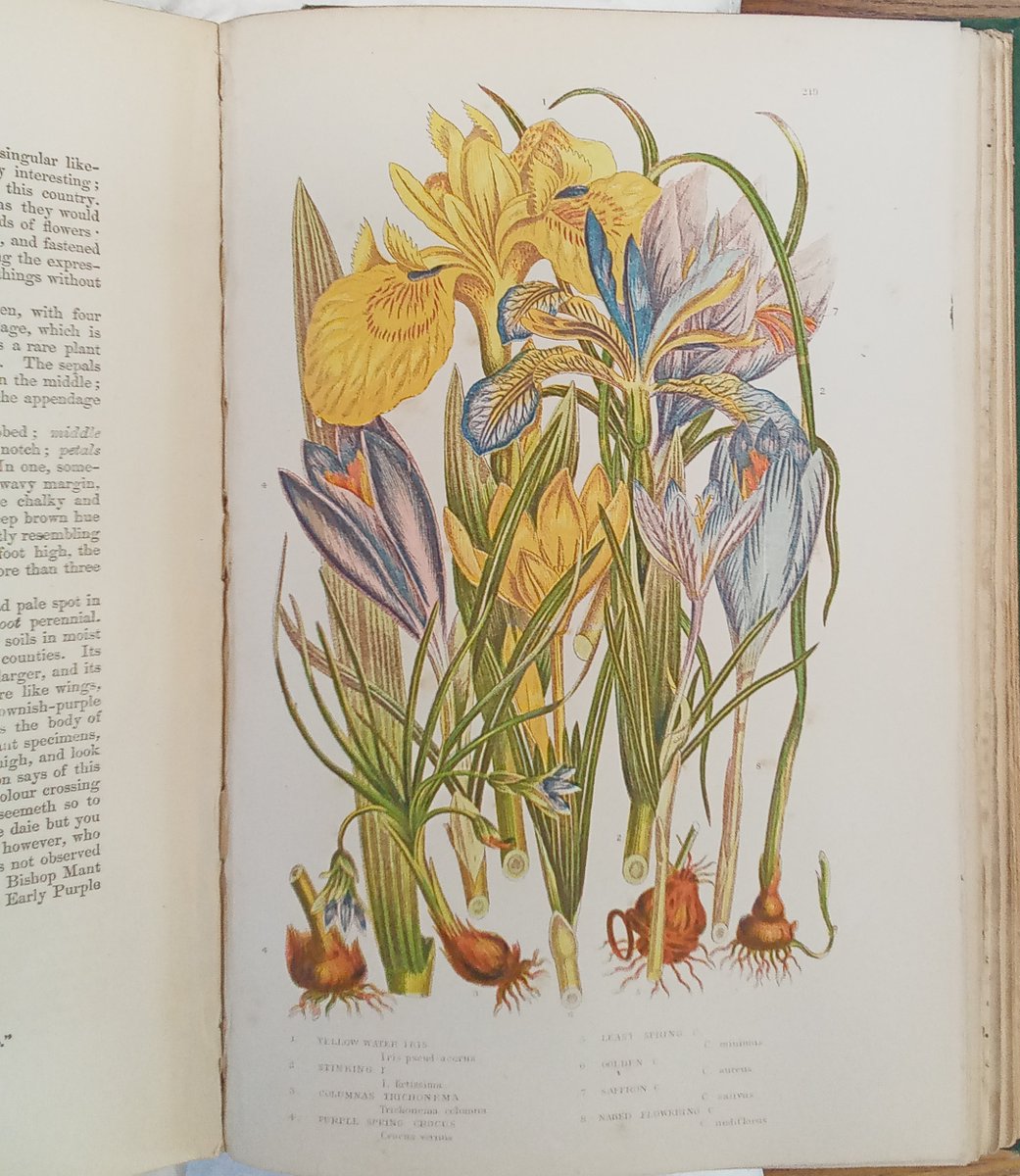 StHildasLib's tweet photo. ‘S. Hilda’s (garden), with its waterway and views of Merton and within sound of all the bells, is, I think, the loveliest’ - E S Rodhe, alumna

We agree - especially today!

Find out about the garden’s history in our display in South Foyer or here: https://t.co/poOab0iSKW https://t.co/5WrWlxVwCe
