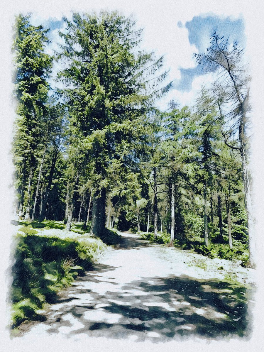 ferrymaniom's tweet photo. South Barrule
Created with #GraphiteApp. @becassoapp https://t.co/tHPtHvyQpt