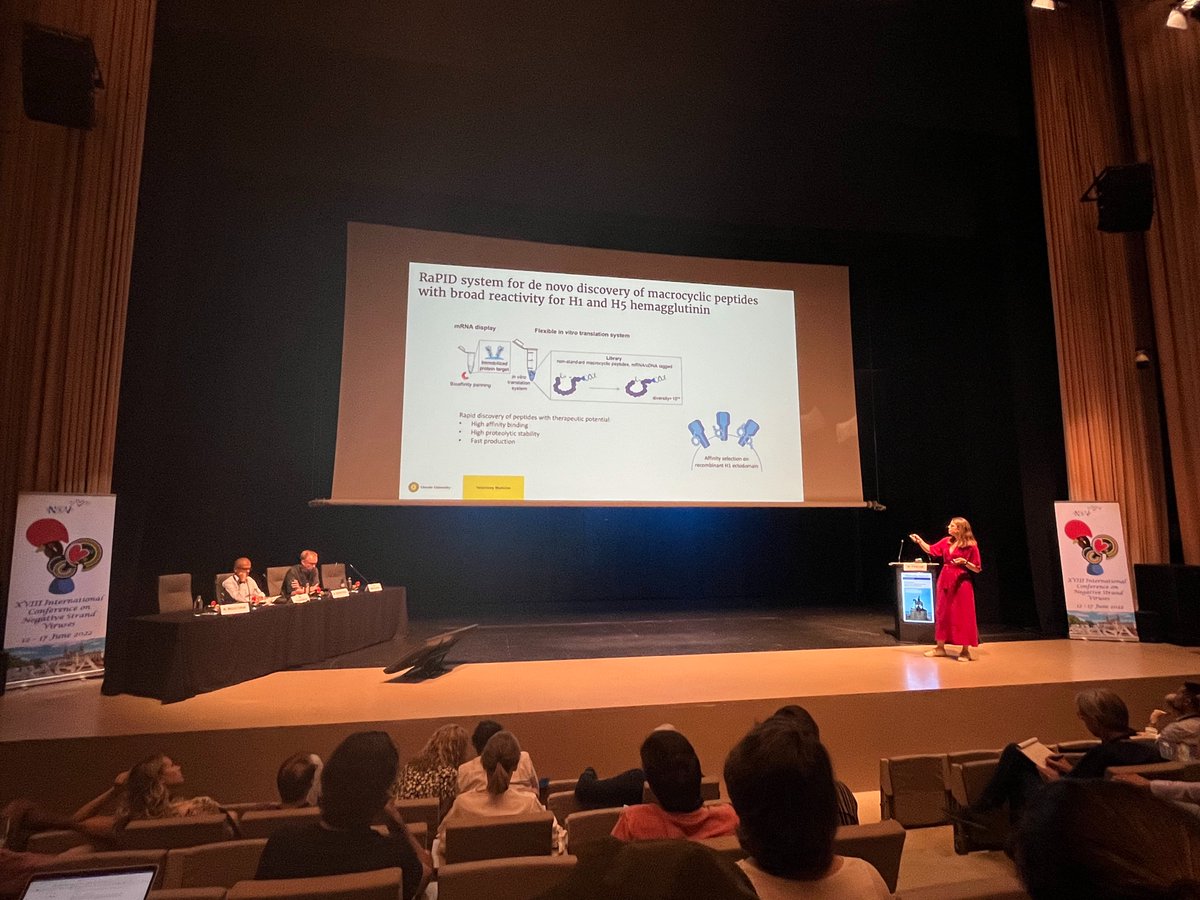 <a href="/MirtePascha/">Mirte Pascha</a> is literally killing it! Not only her talk yesterday at #NSV2022, but also the IAVs targeted by her promising macrocyclic peptides