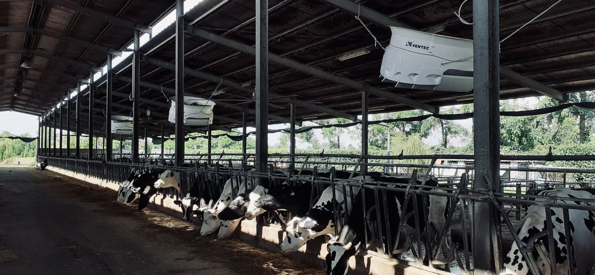 Barn Done in Italy 🇮🇹 

CyclonePlus 🌪🌪🌪

#ventilation #dairyfarm #farming #dairyfarmer #vacheslaitieres #agriculture #holstein #holsteininternational